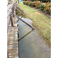 King tide Williamsburg in James city County image